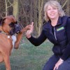Bark Busters