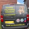 Paws4life Pet Care Service